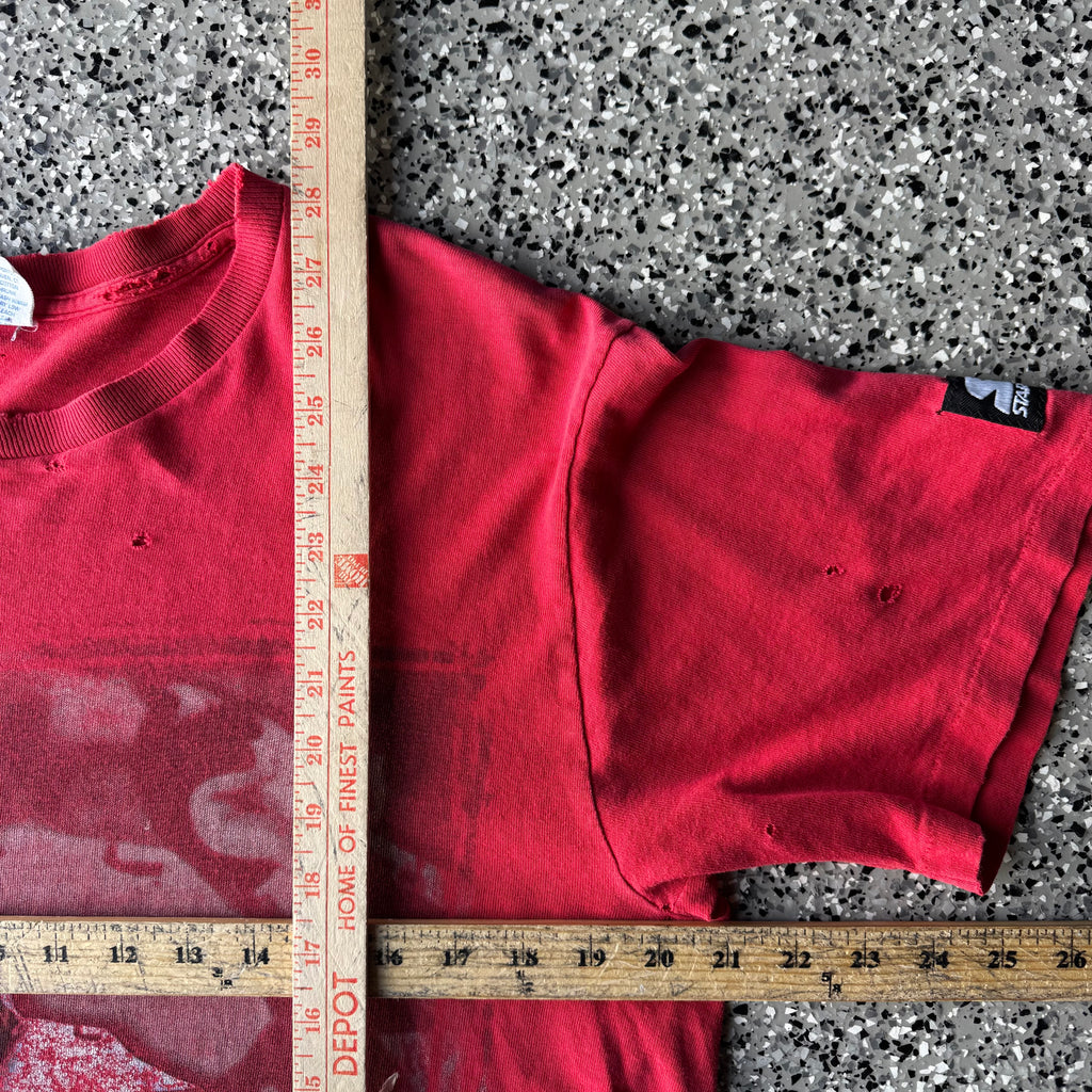 1990s detroit Red wings hockey distressed shirt (M)