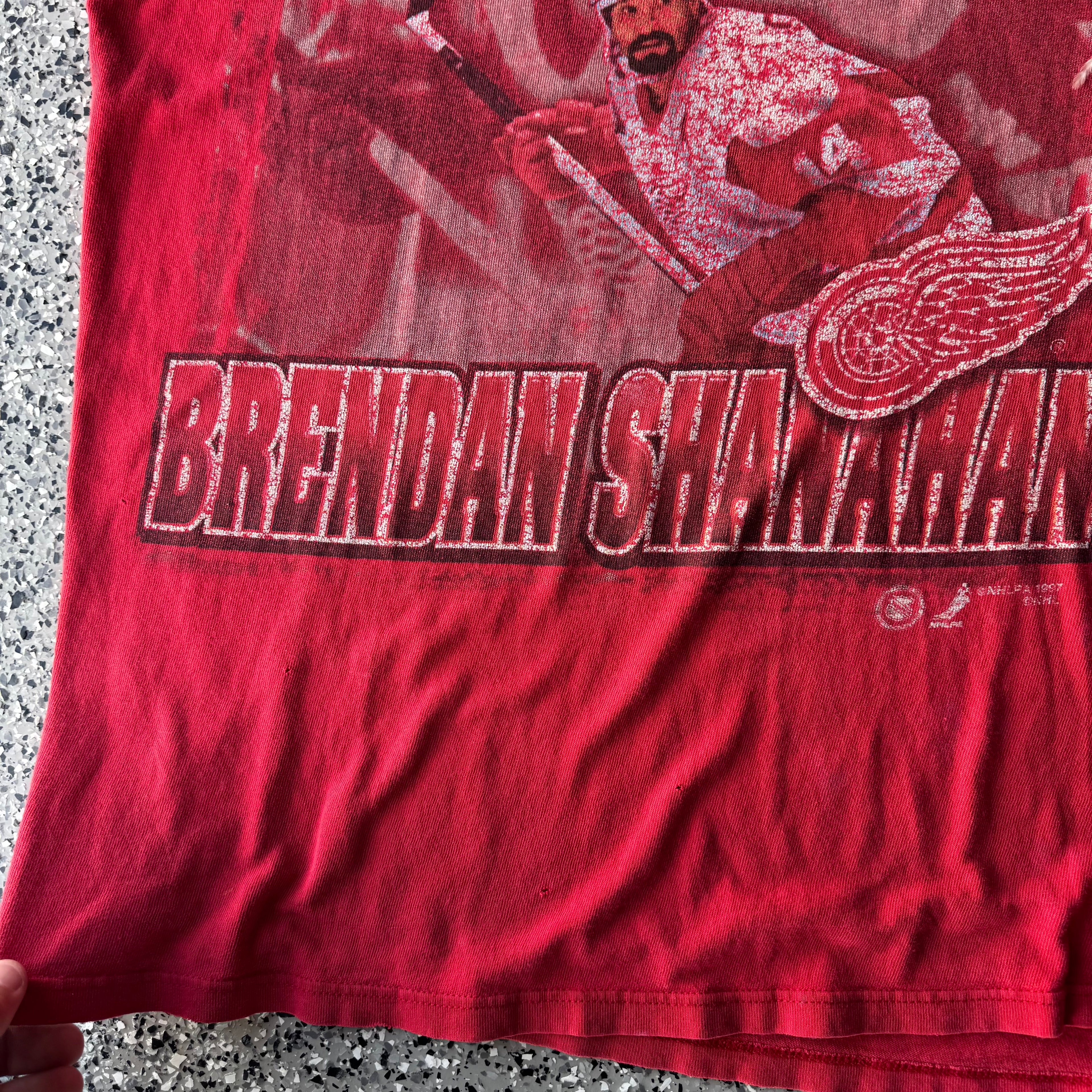 1990s detroit Red wings hockey distressed shirt (M)